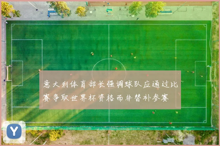 意大利体育部长强调球队应通过比赛争取世界杯资格而非替补参赛