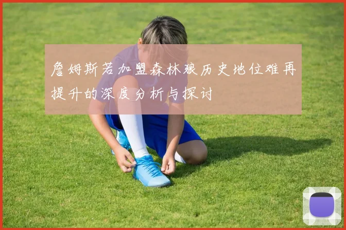 詹姆斯若加盟森林狼历史地位难再提升的深度分析与探讨