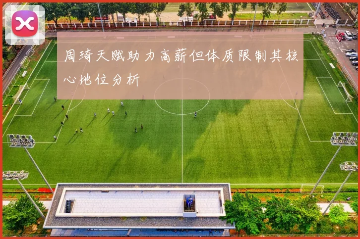 周琦天赋助力高薪但体质限制其核心地位分析